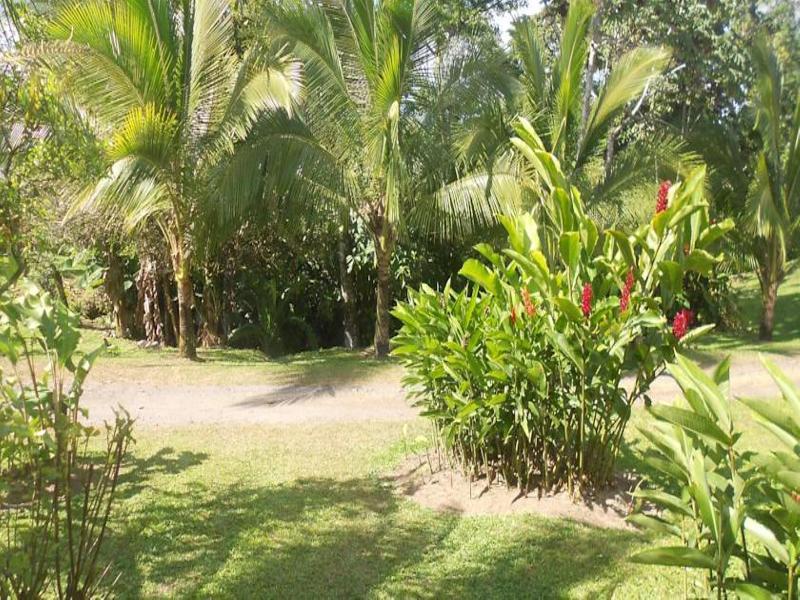 Comfort Arenal La Fortuna Dış mekan fotoğraf