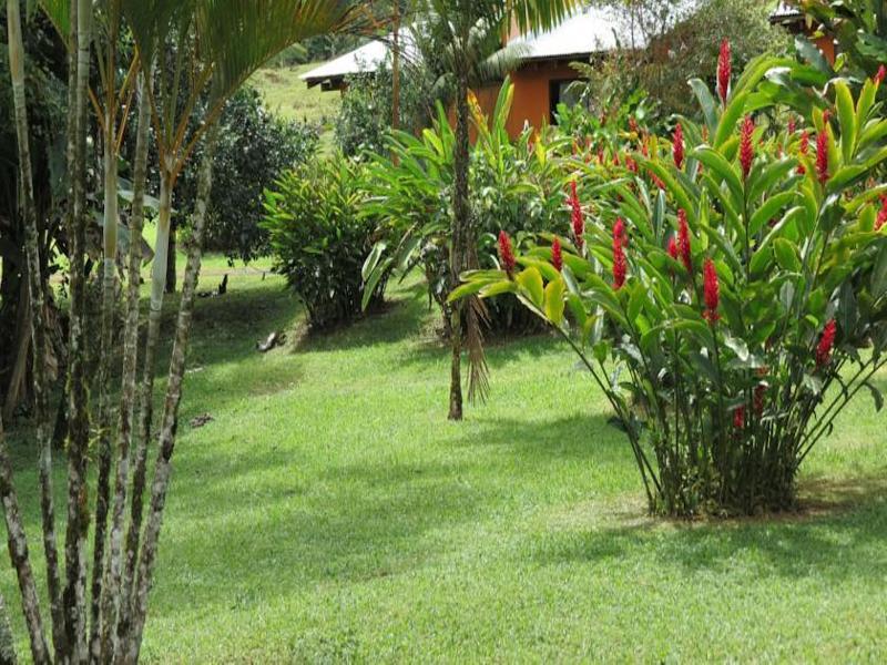 Comfort Arenal La Fortuna Dış mekan fotoğraf