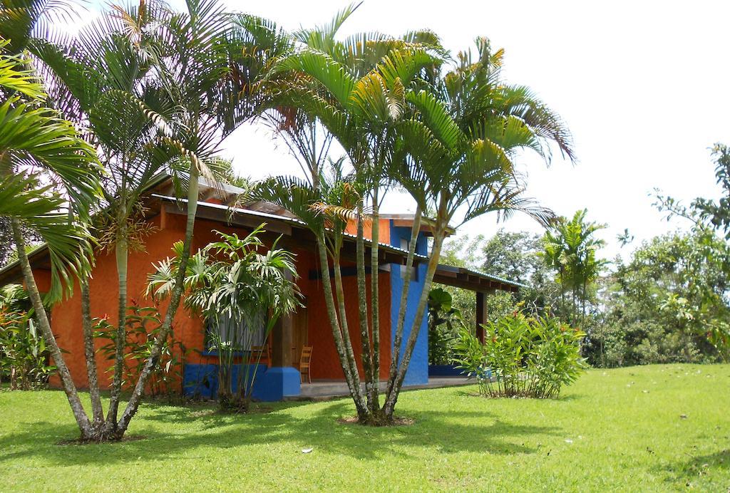 Comfort Arenal La Fortuna Oda fotoğraf