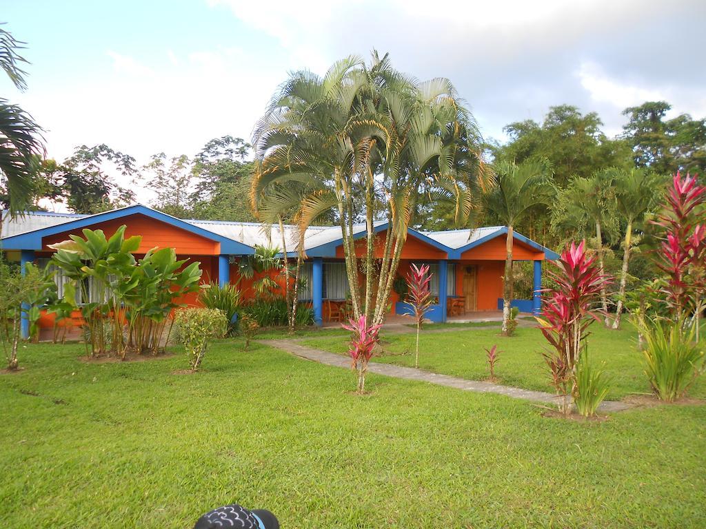 Comfort Arenal La Fortuna Oda fotoğraf