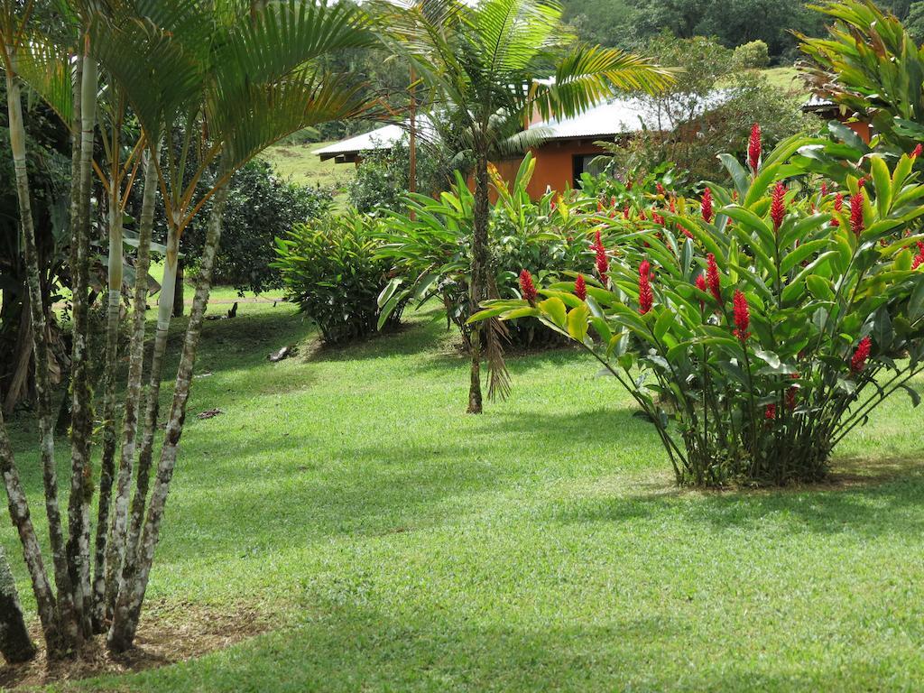 Comfort Arenal La Fortuna Dış mekan fotoğraf