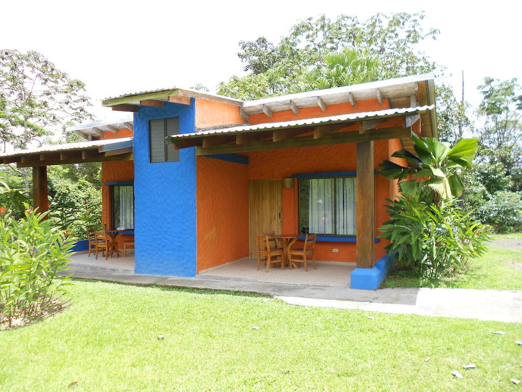 Comfort Arenal La Fortuna Oda fotoğraf